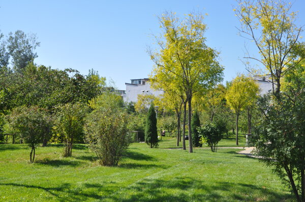 公园中的植物景观