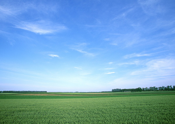 田园风光