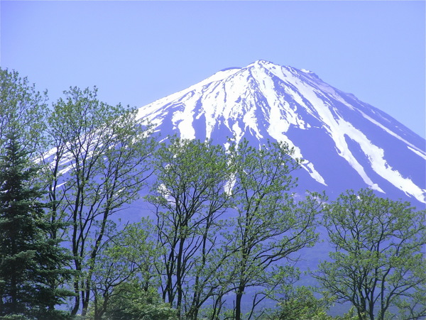 春天富士山