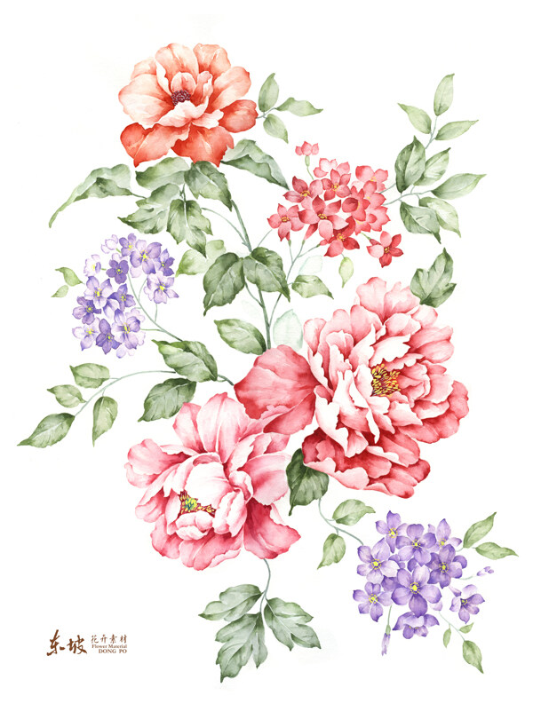 手绘花卉图片
