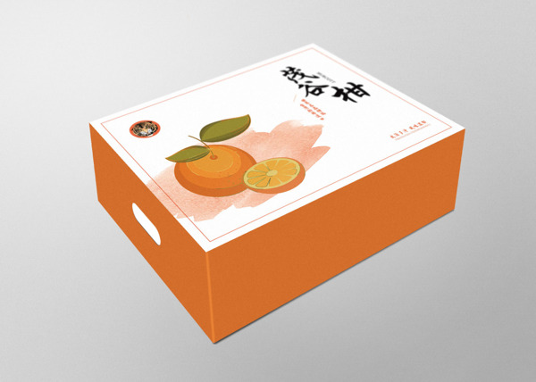 柑子橘子橙子水果特产包装设计