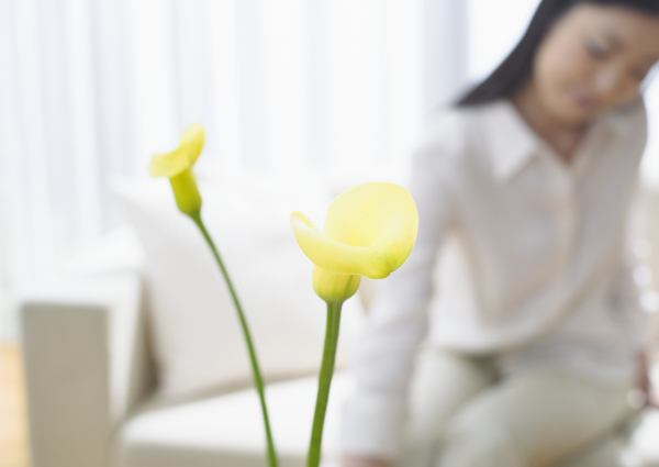 鲜花与美女家居摄影