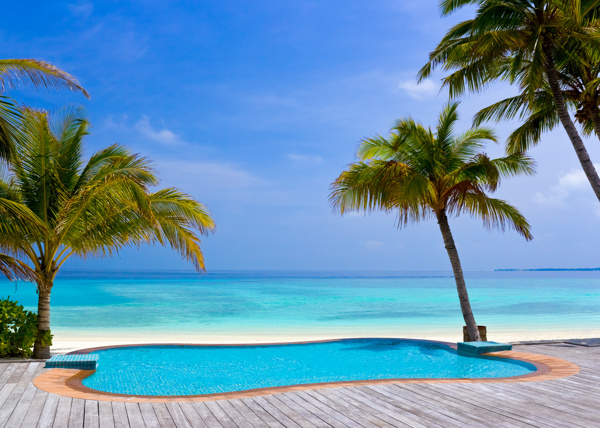 海边游泳池椰子树