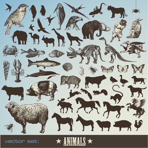 动物图标矢量图片