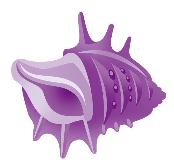 紫色海鲜海螺