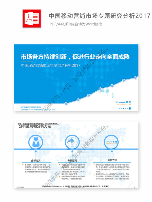 中国移动营销市场专题研究分析2017