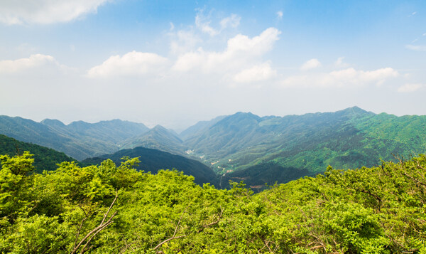 龙山