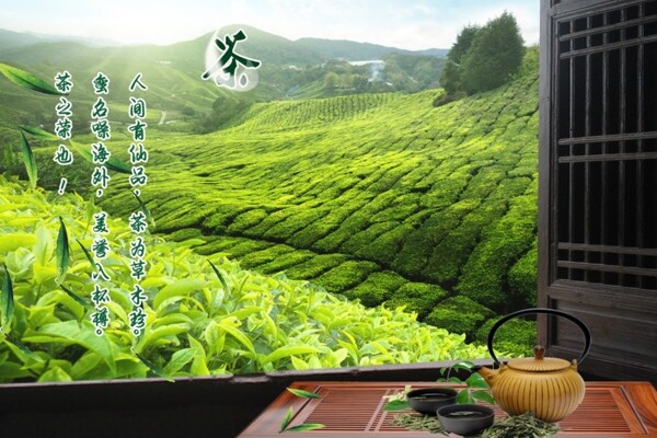 茶叶