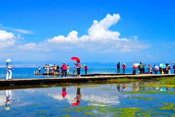 青海湖风光