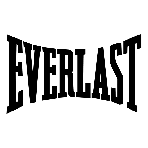 的Everlast