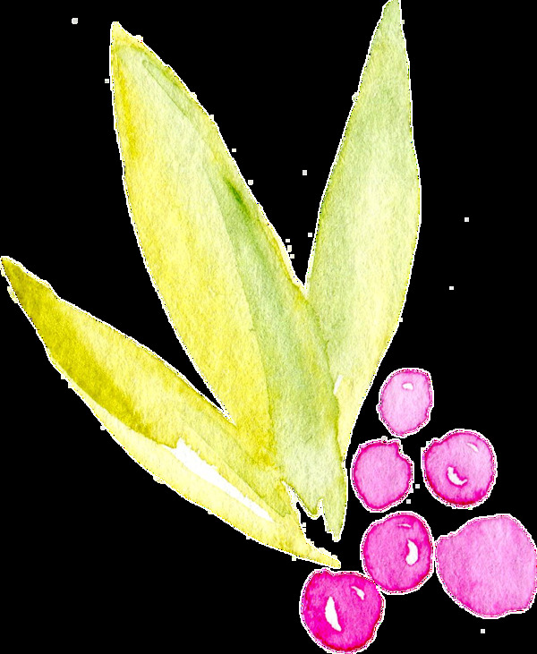 水彩水墨植物卡通透明素材