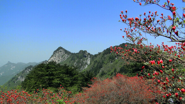 麻城龟峰山风景图片
