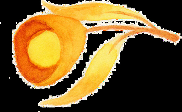 身橙花叶卡通透明素材