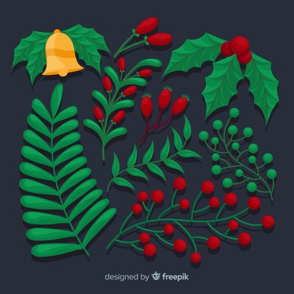 精美圣诞植物设计图片