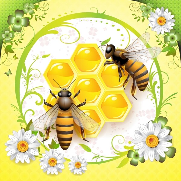 两蜜蜂围绕着鲜花和采蜜飞图案背景图
