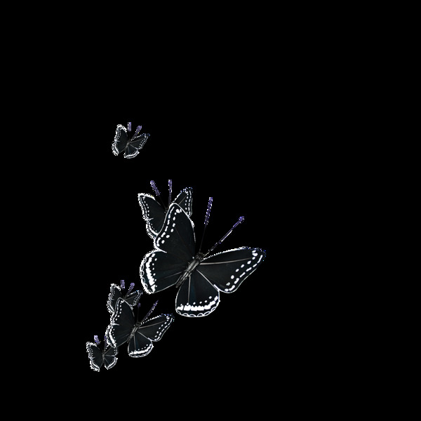 黑翅蝴蝶卡通透明素材