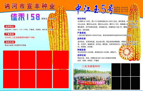 种子化肥宣传单玉米宣传单图片