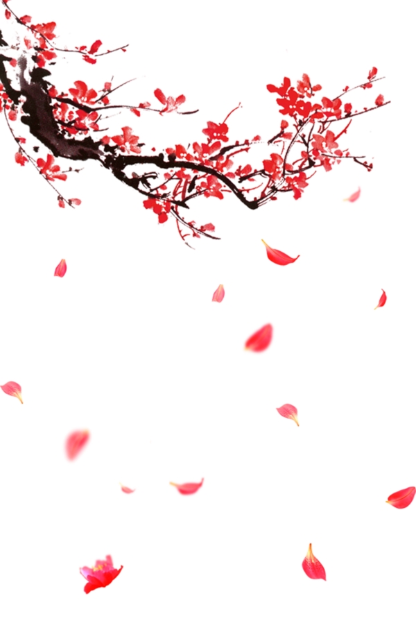 古风红色梅花和飘落的花瓣