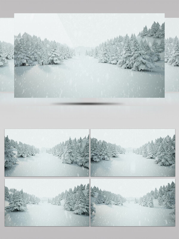 下雪的圣诞树树林视频素材