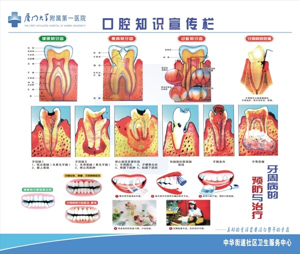 牙科宣传栏图片