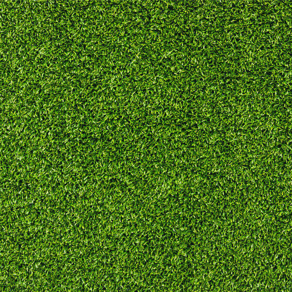 绿色草地草坪图片