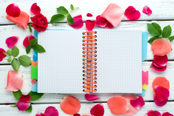 笔记本与玫瑰花瓣