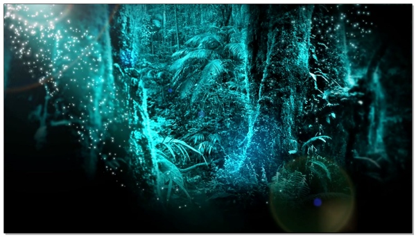 亮光蓝色森林视频素材