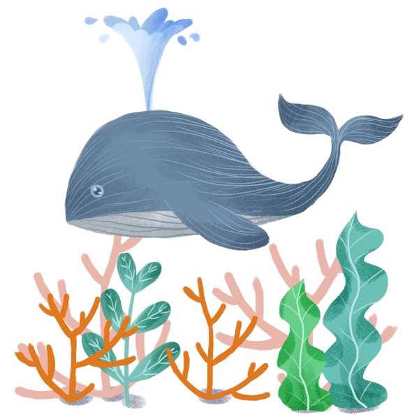 手绘海洋鲸鱼喷水卡爱卡通海底珊瑚海草