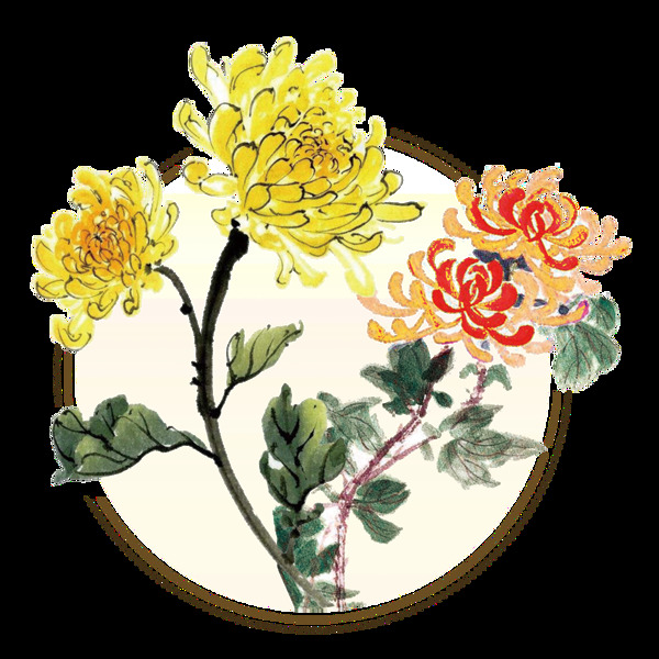 清新双色手绘菊花装饰元素