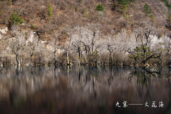 火花海图片