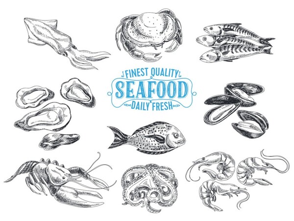 海鲜食物插画图片