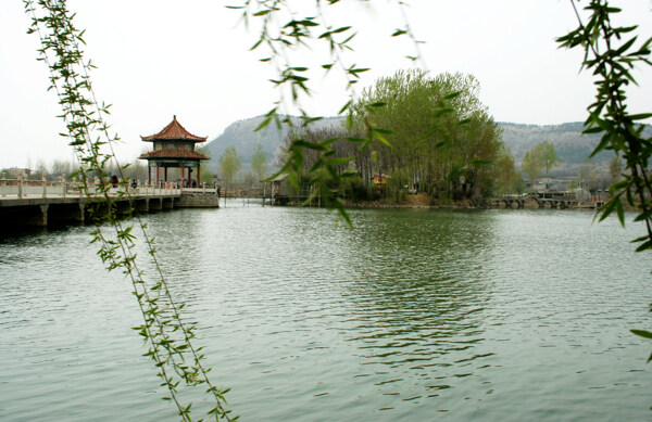 树植物水风景山