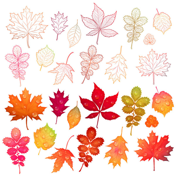 多彩的秋天树叶矢量素材