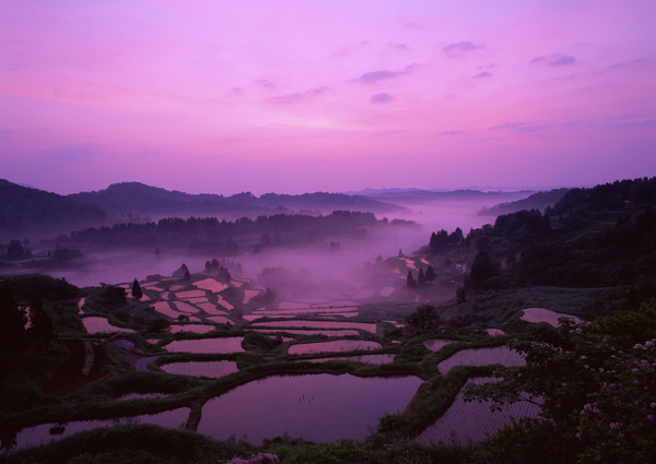 夕阳田野