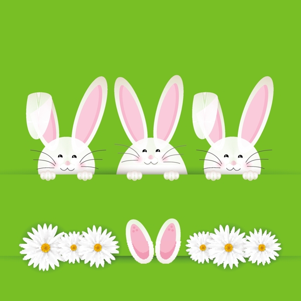 一组可爱小白兔及小白花