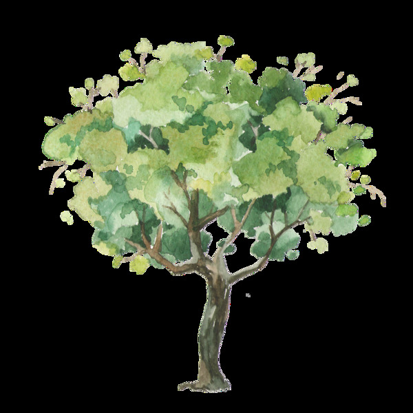 茂密树木装饰图案