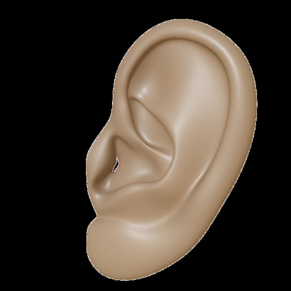 3d耳朵图免抠png透明图层素材