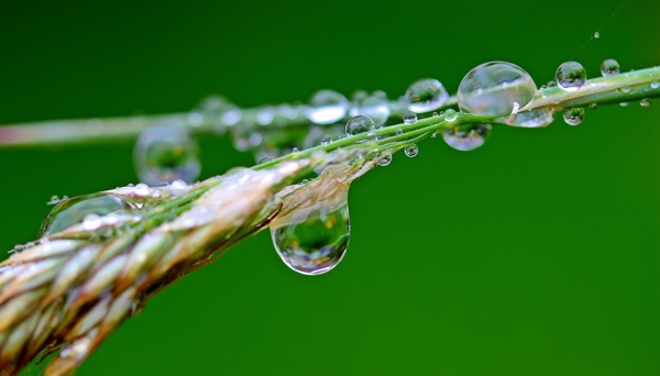 雨滴