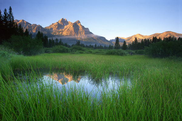 美丽湿地风景图片