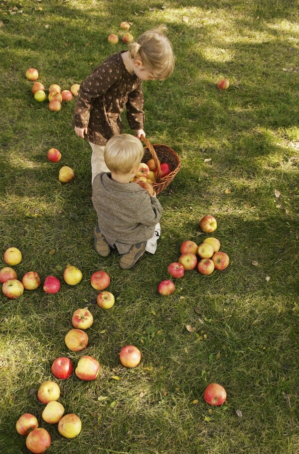 苹果与儿童图片
