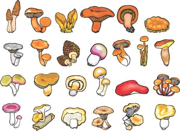 植物手绘的蘑菇
