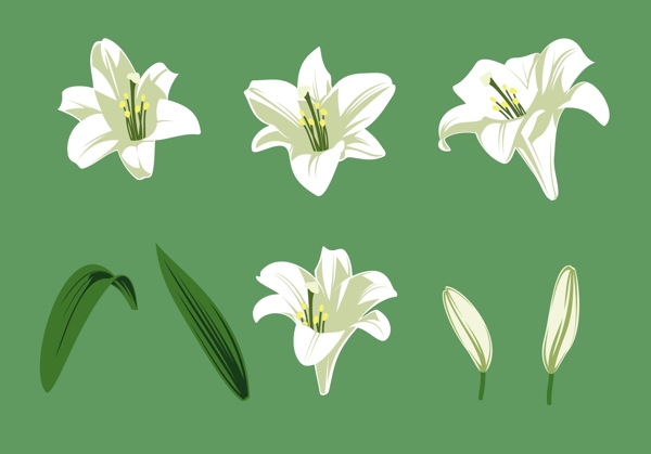 白色花朵图案矢量素材