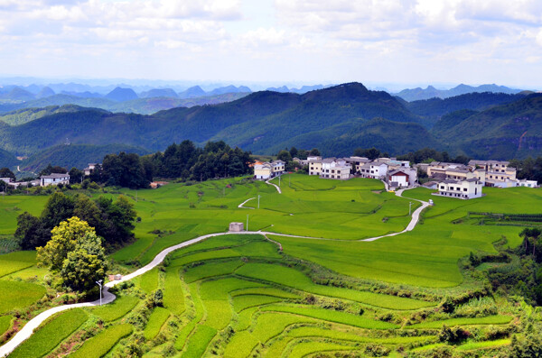 贵阳高坡