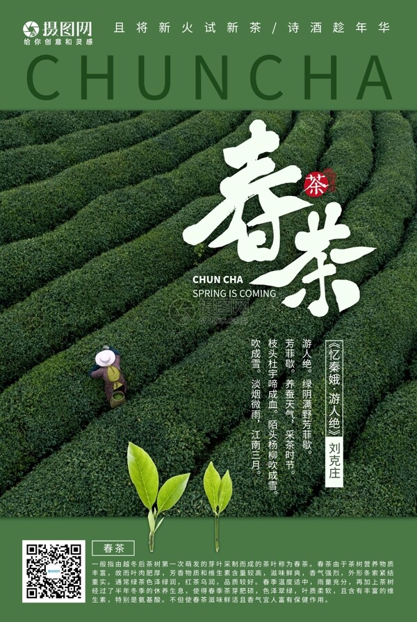 绿色春茶采摘海报