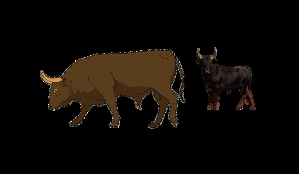 手绘两只公牛免抠png透明图层素材