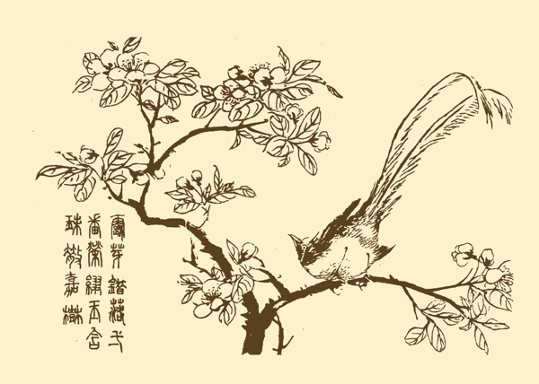 芥子园画谱翎毛图片