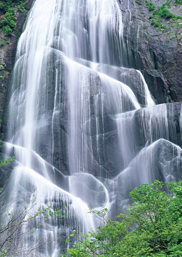 高山瀑布绿树