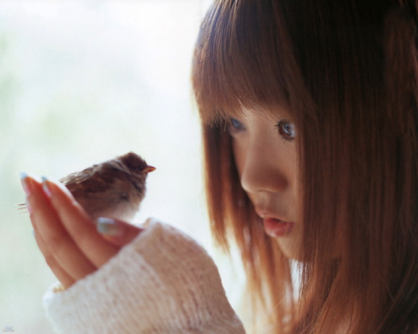 少女和鸟图片