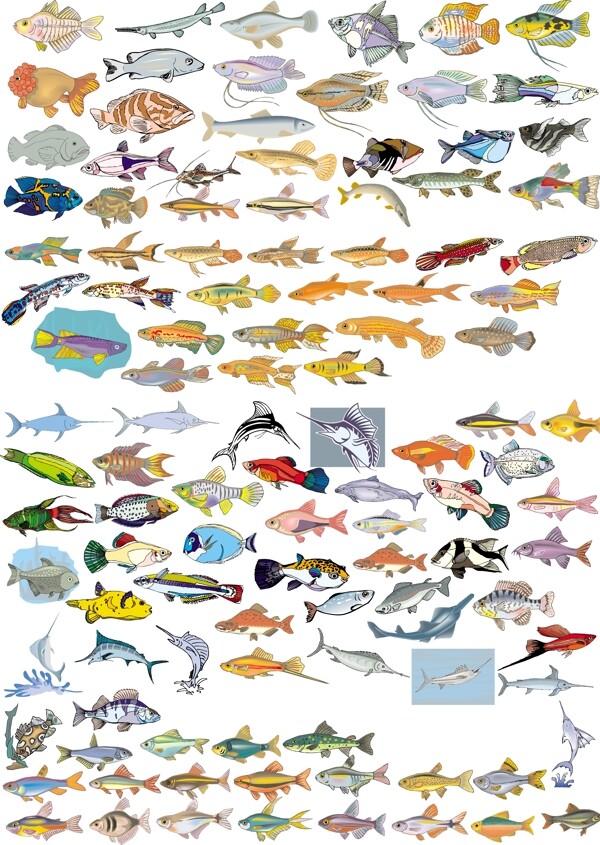 各种鱼矢量图