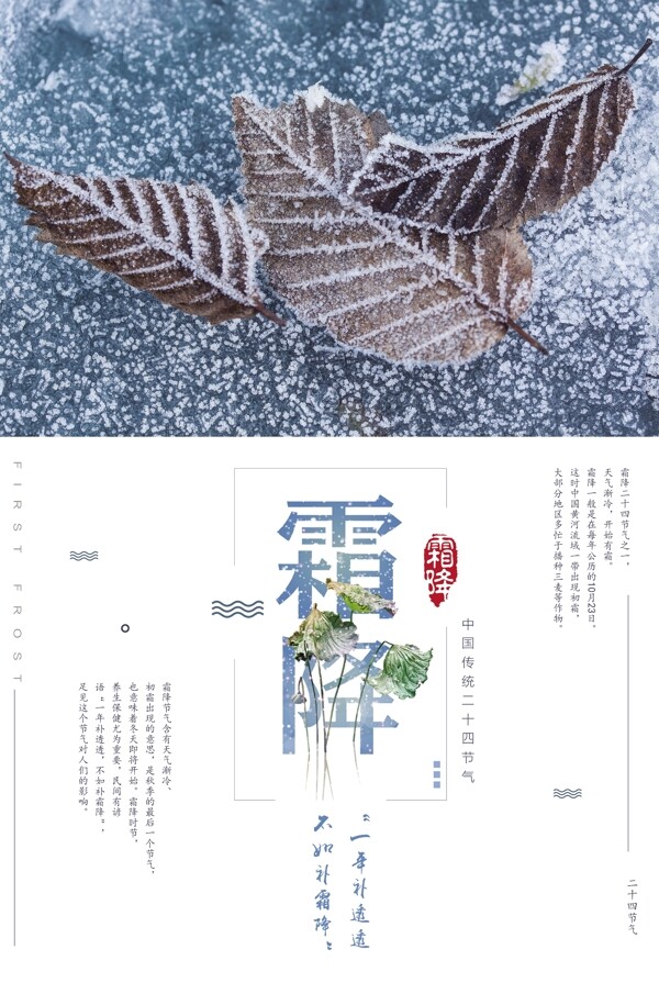 日系清新二十四节气霜降海报